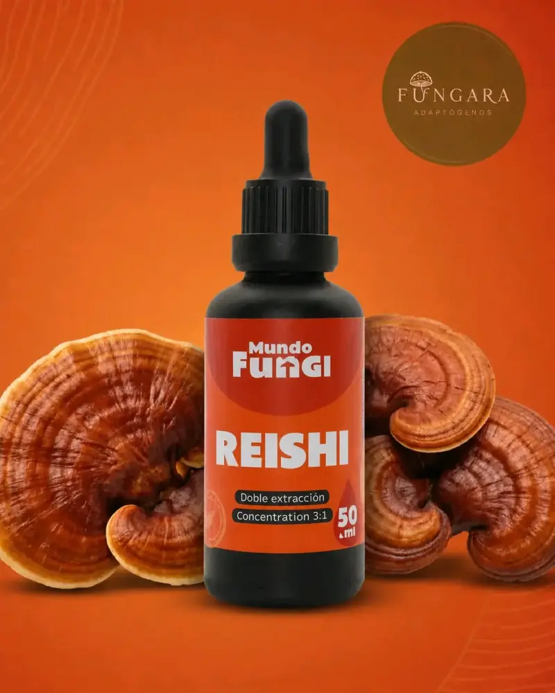 Melena de León, reishi y cordyceps 50ml extracto - 3