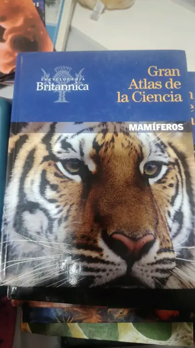Gran Atlas de la Ciencia: Rocas y Minerales - miniatura 2