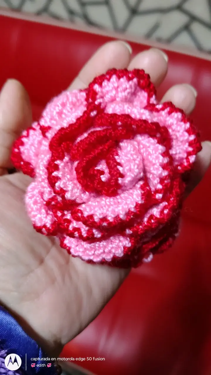Monedero de crochet rojo y rosa - 3