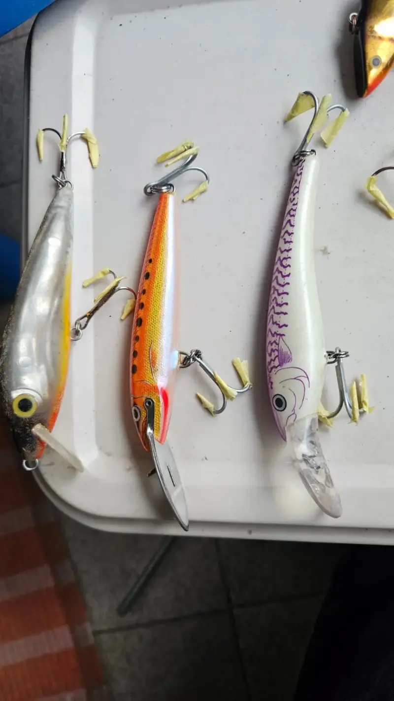 Set de señuelos de pesca variados - 2