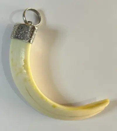 Colgante de colmillo con anillo - miniatura 1