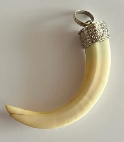Colgante de colmillo con anillo - miniatura 2