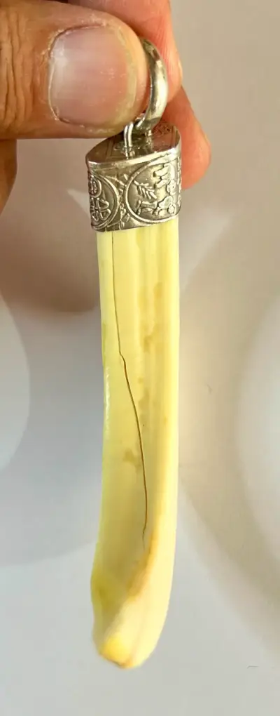 Colgante de colmillo con anillo - miniatura 3
