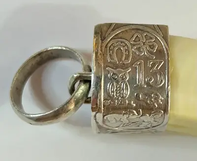 Colgante de colmillo con anillo - miniatura 4