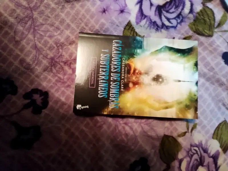 Libro Cazadores de Sombras - 5