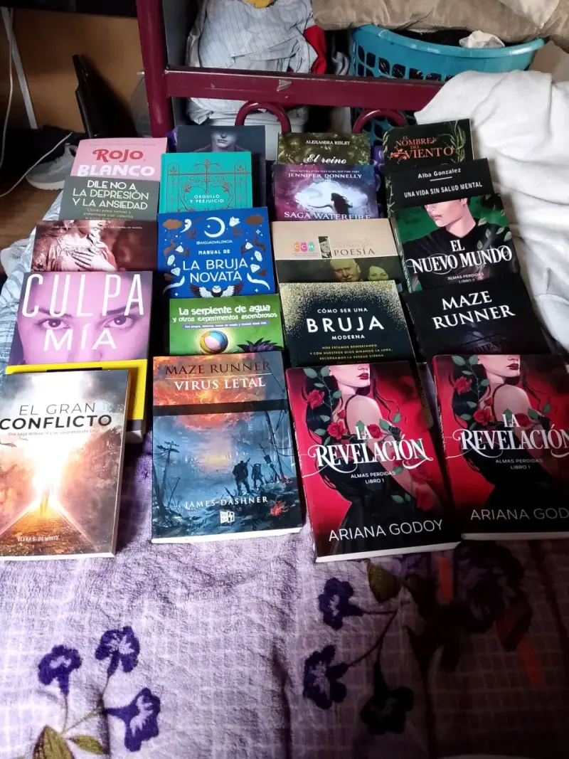 Lote de libros variados - 1