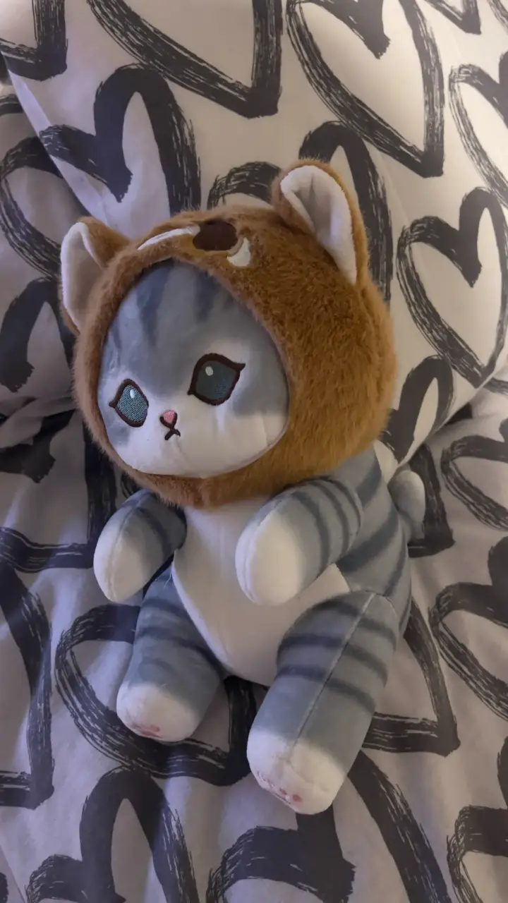 Peluche de gato disfrazado - 1