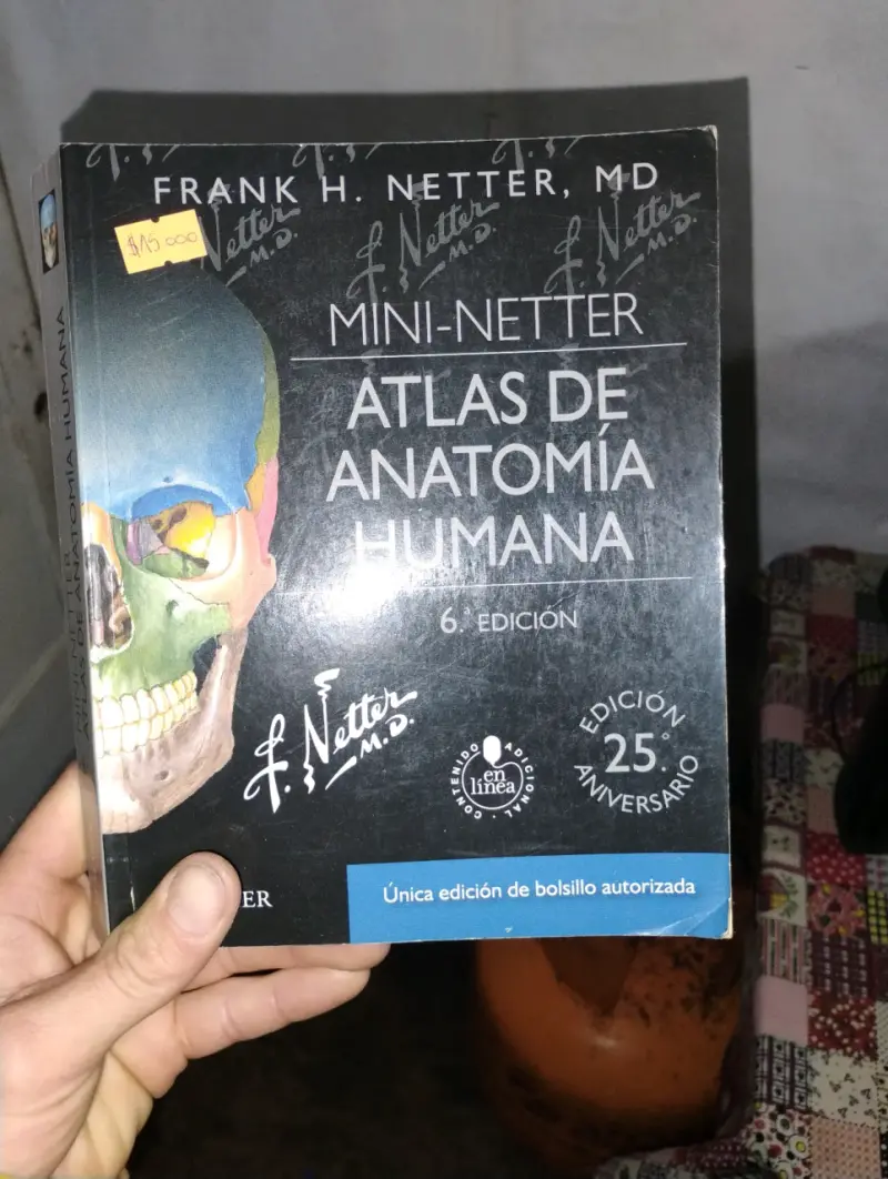 Atlas de Anatomía Humana Mini-Netter - 2