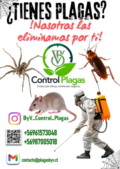 Servicio Control de Plagas - miniatura 1