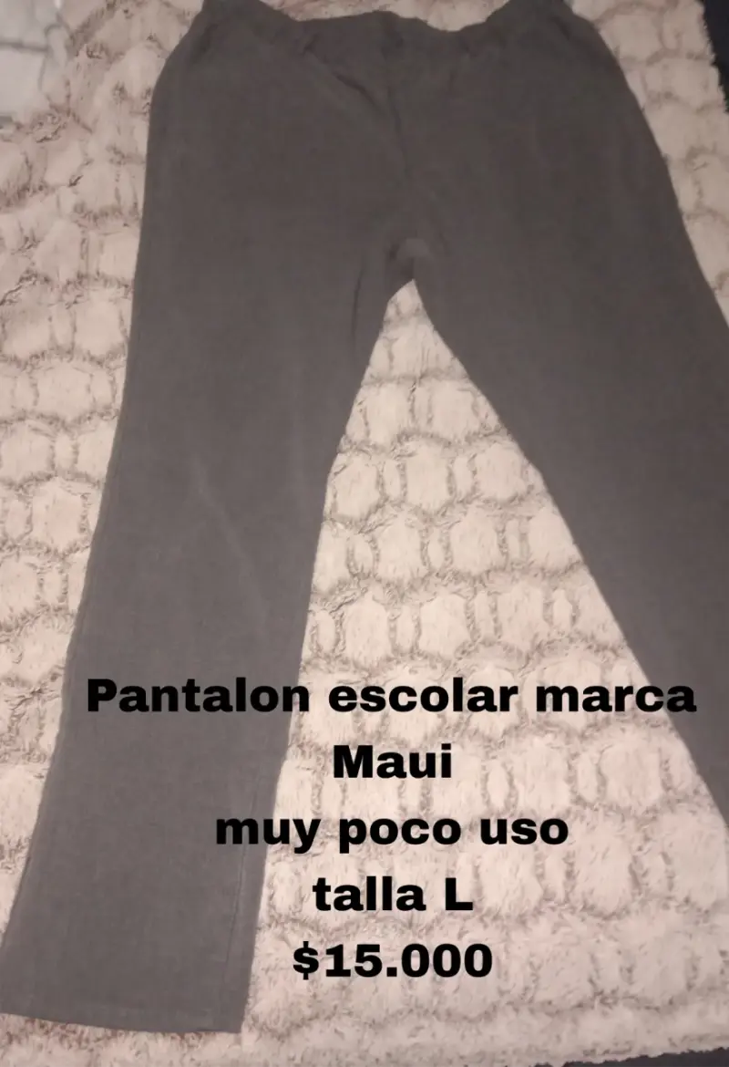 Vestón y sweter colegio Salesiano,pantalón escolar - 3