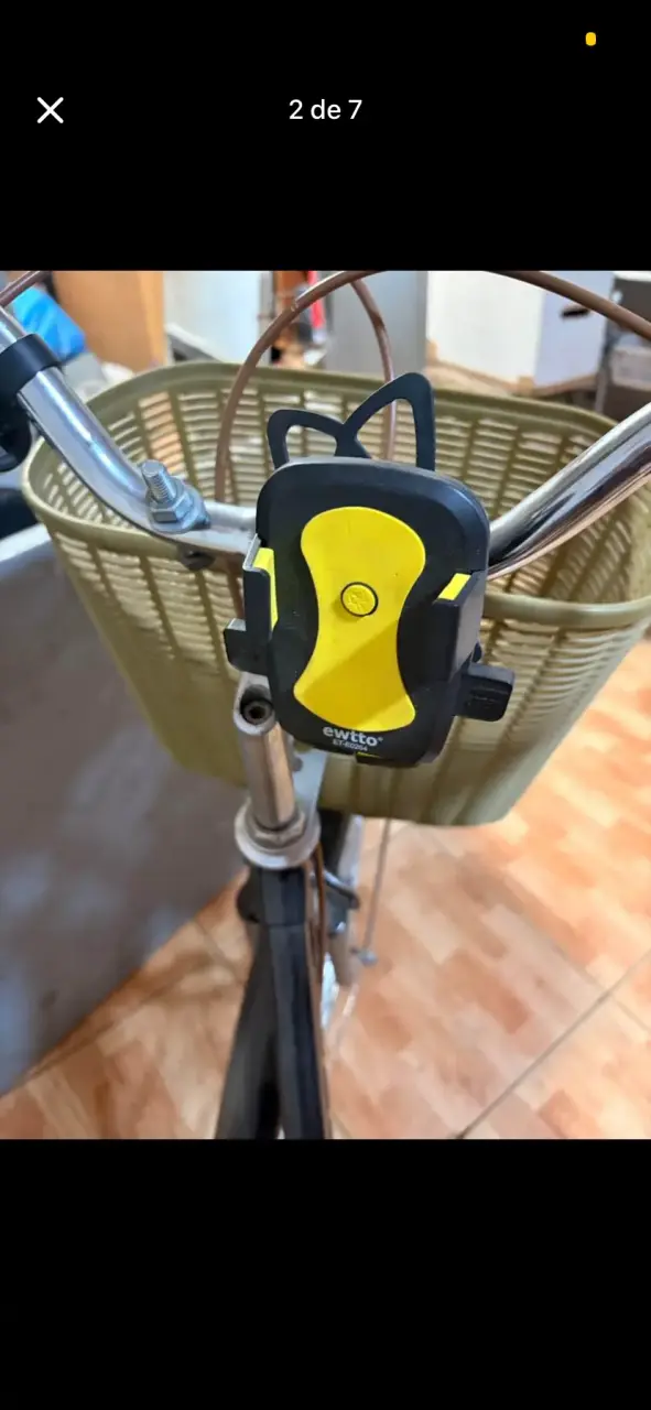 Bicicleta de reparto con canastos - 2
