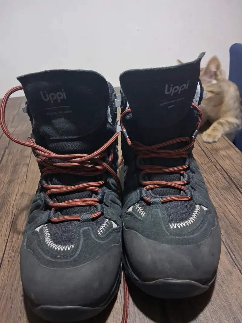 Botines N°41 marca lippi - 3