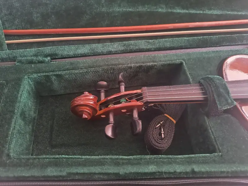Violín con estuche incluido - 3