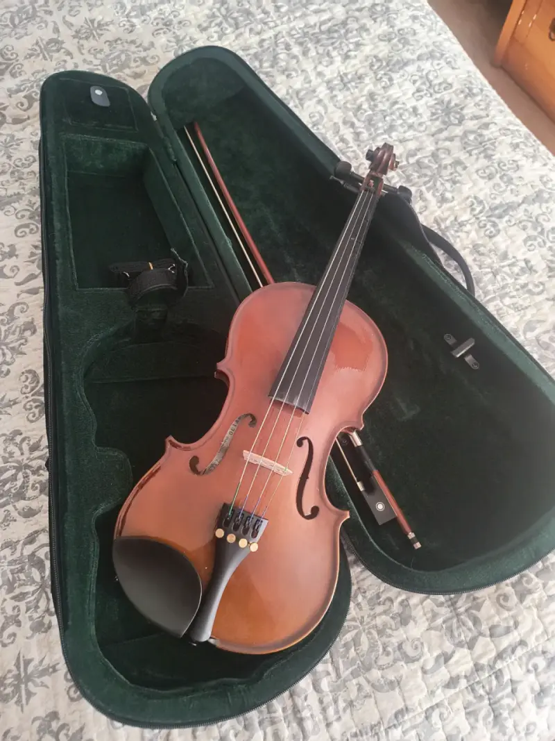 Violín con estuche incluido - 6