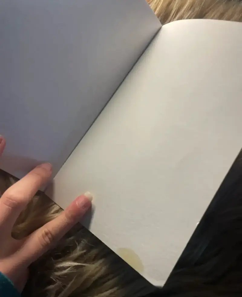 Libro El Príncipe y el Mendigo - 2