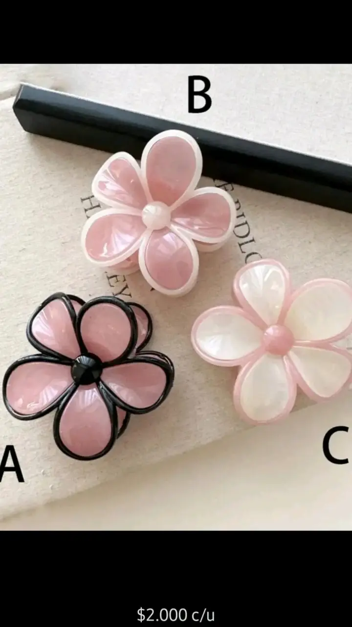 Aros y pinches - 2