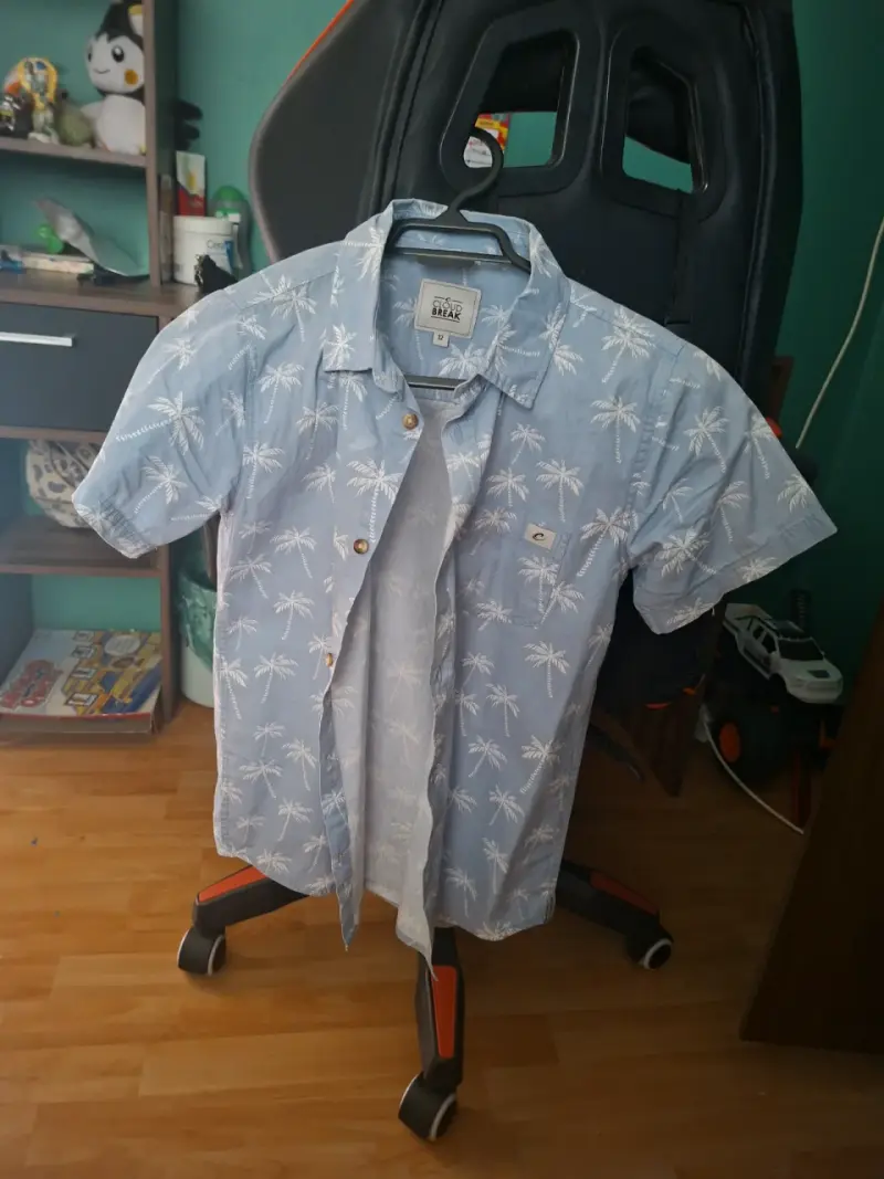 Camisa estampada azul claro - 2