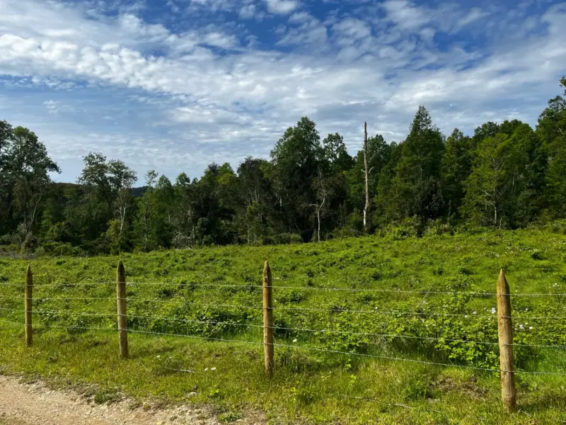 Se Vende o Permuta 1 hectárea parcela Osorno - 2