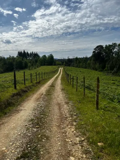 Se Vende o Permuta 1 hectárea parcela Osorno - miniatura 3