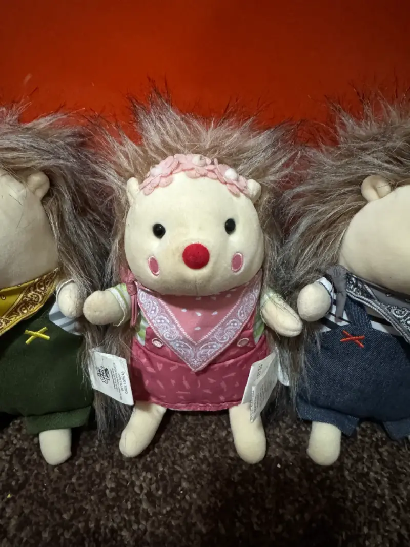 Set de peluches de erizo - 3