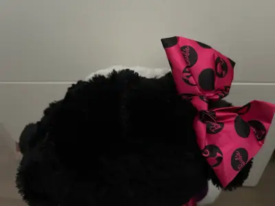 🎀🐶 Peluche Perrito Barbie Original (Edición 2017) - miniatura 5