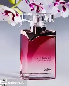 Perfume D'Orsay herbal aromático - 2