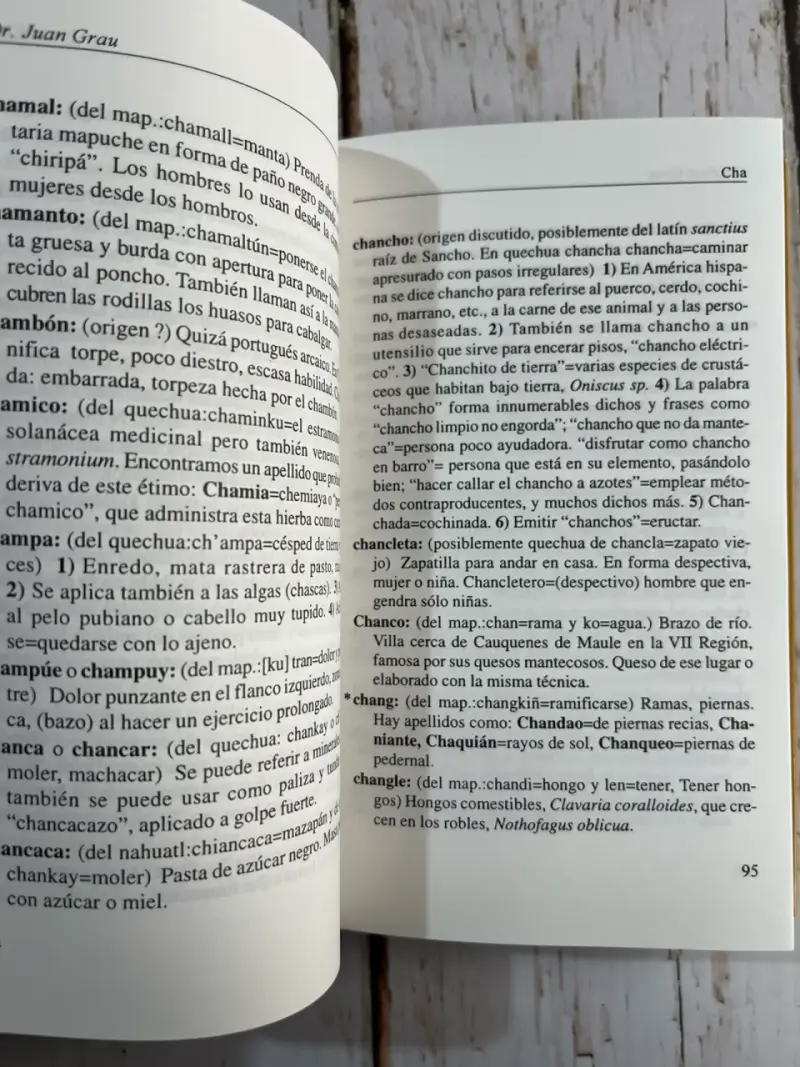 Libro Voces Indígenas Chile de uso común en Chile - 6