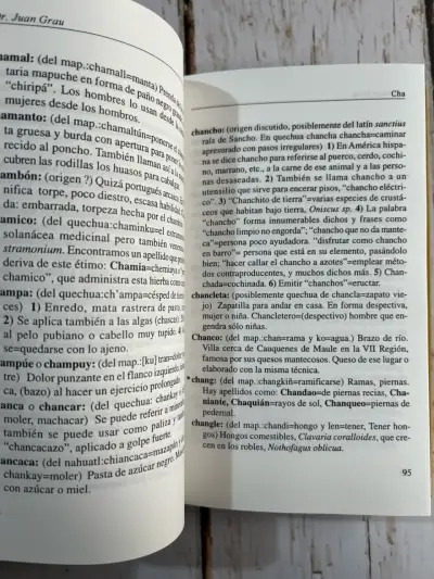 Libro Voces Indígenas Chile de uso común en Chile - miniatura 6