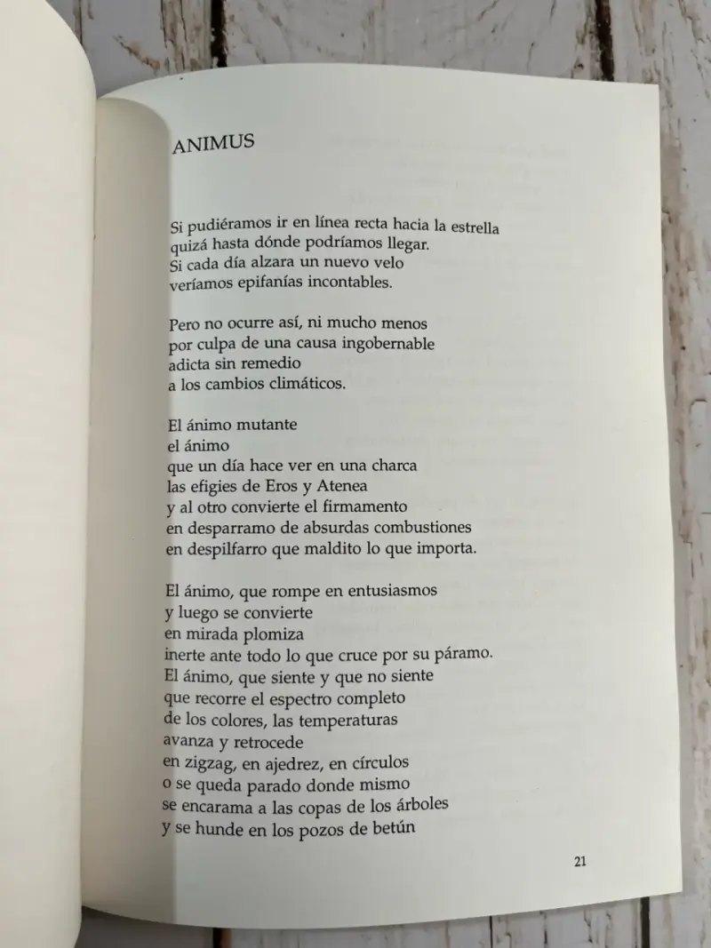 Libro 'Scanner' por Claudio Abarca - 6