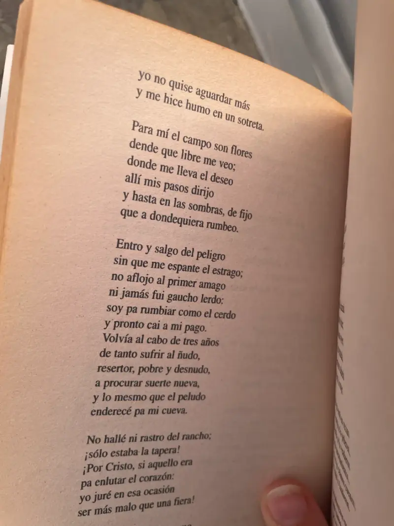 Libro Martín Fierro de José Hernández - 3