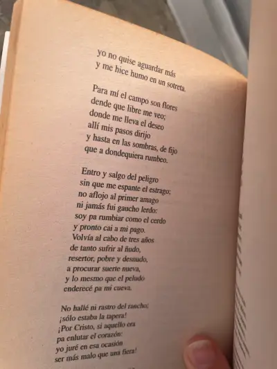Libro Martín Fierro de José Hernández - miniatura 3