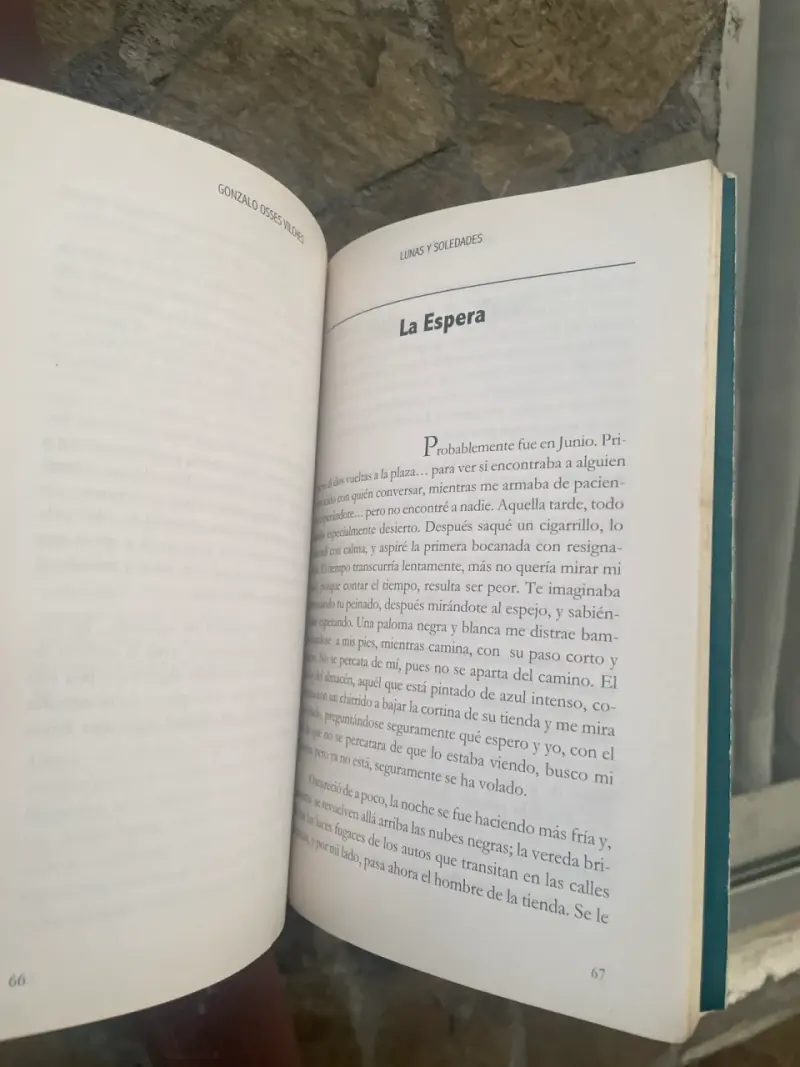Libro 🌙 Lunas y Soledades - 3
