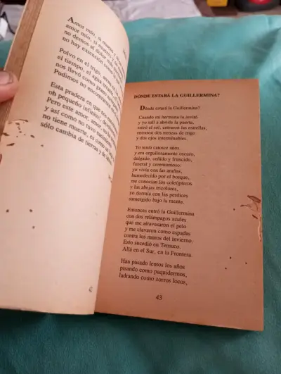 Libro Poemas y Prosa Autobiográfica - Pablo Neruda - miniatura 3