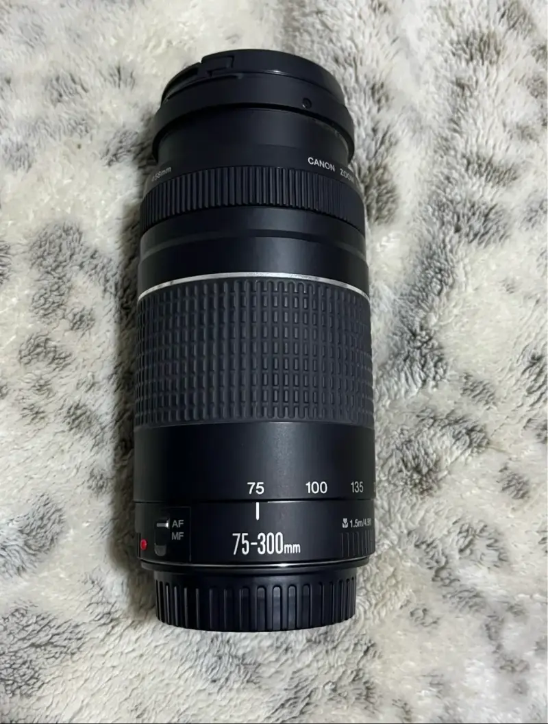 Lente Canon 75-300mm - 2