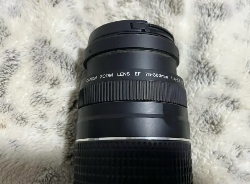 Lente Canon 75-300mm - 3