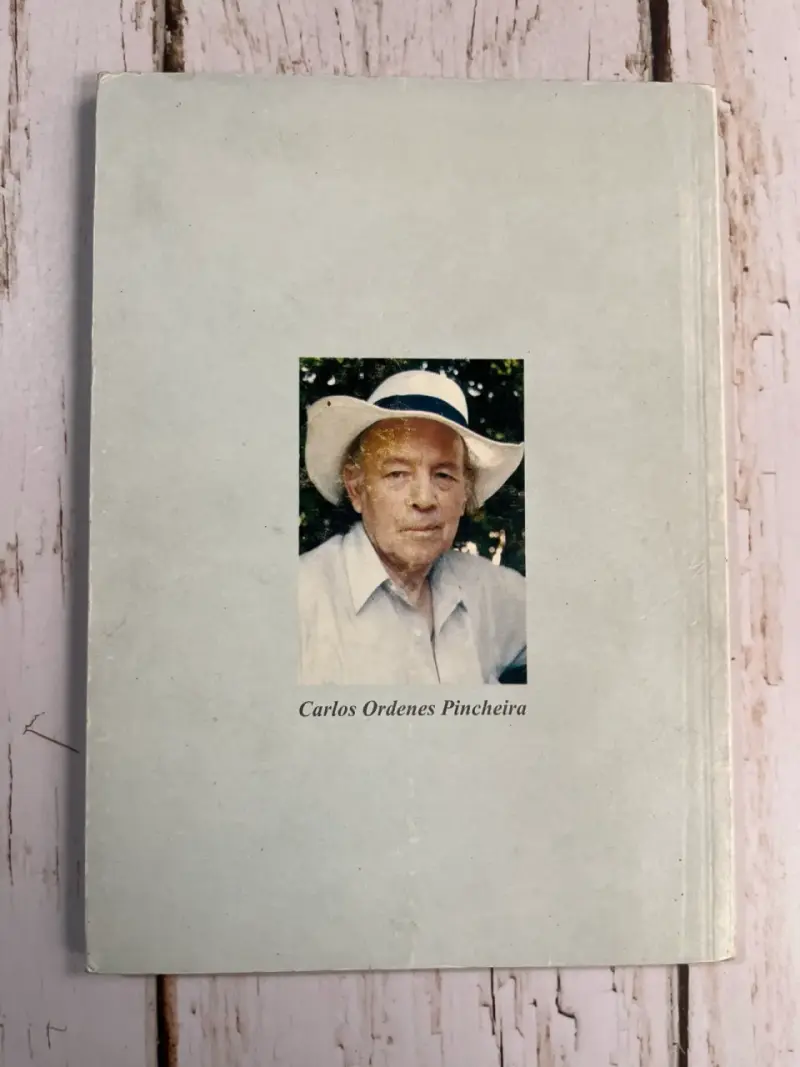 Libro 'Lluvia Celeste Para Un Sueño Herido' - 3