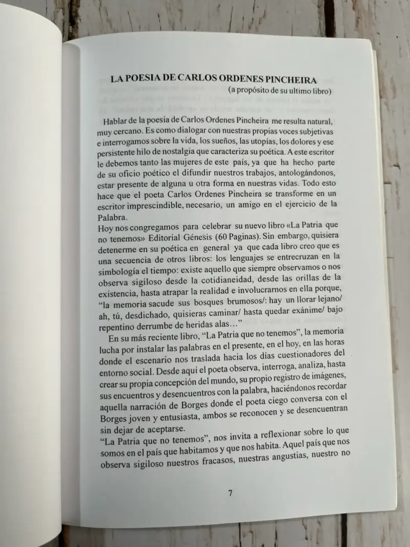 Libro 'Lluvia Celeste Para Un Sueño Herido' - 6