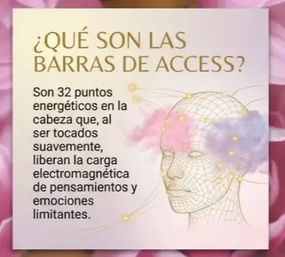 Una Sesión de Barras de Access 40 a 50 minutos. - miniatura 2