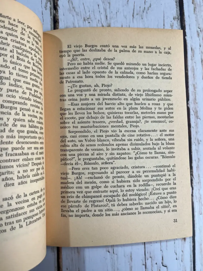 Libro 'Tarde, en Recoleta' / Jaime Talciani - 5