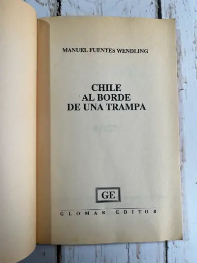 Libro 'Chile al borde de una trampa' - miniatura 4