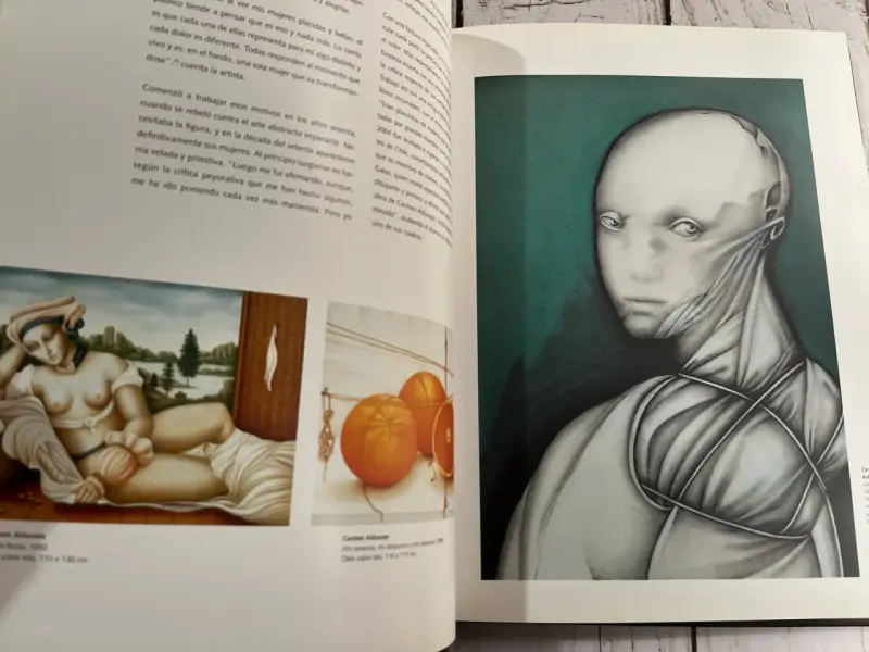 Libro 'Pintura en Chile 1950-2005' - 6