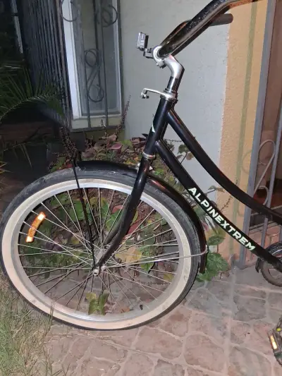Bicicleta negra Alpinextrem - miniatura 2