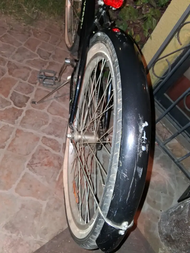 Bicicleta negra Alpinextrem - 3
