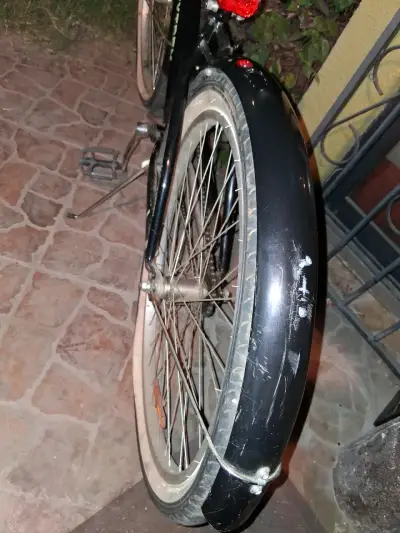 Bicicleta negra Alpinextrem - miniatura 3