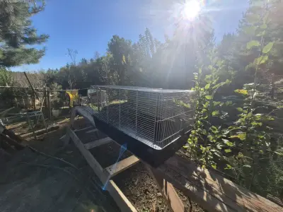 Jaula grande para hamster, cuy o transporte - miniatura 3