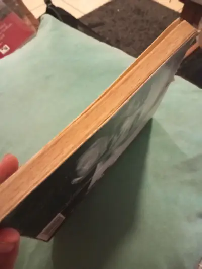 Libro El Peregrino (Diario De Un Mago) - Paulo Coe - miniatura 3