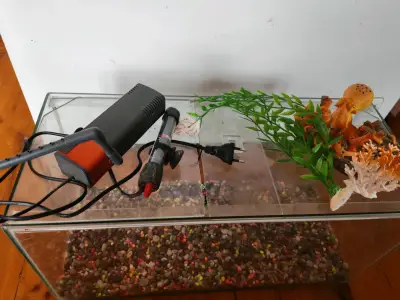Acuario con accesorios básicos - miniatura 1