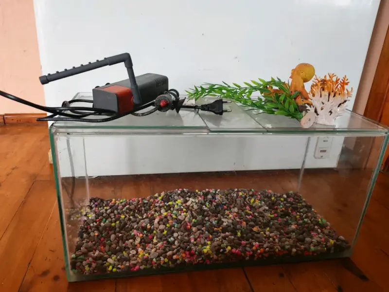 Acuario con accesorios básicos - 2