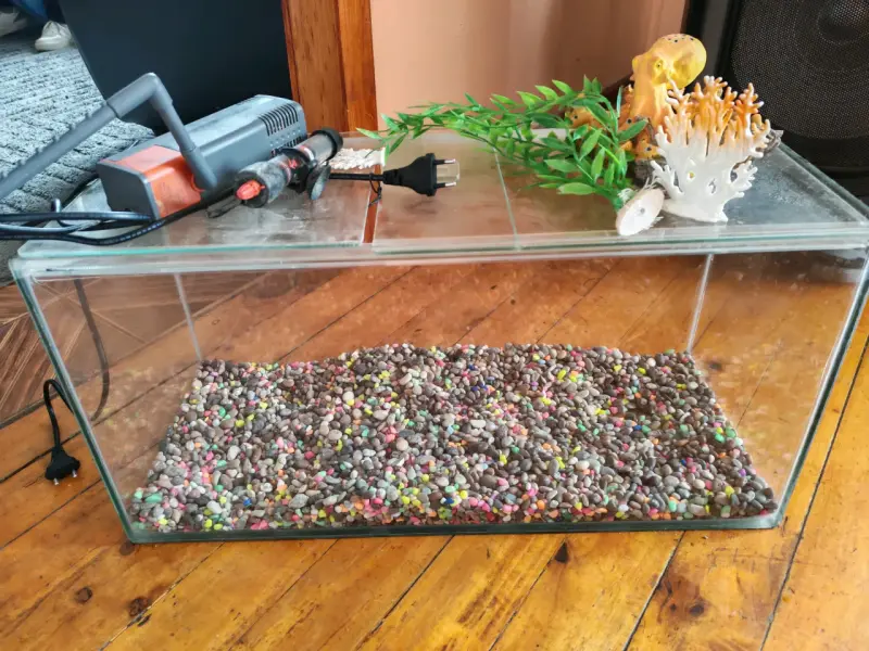 Acuario con accesorios básicos - 3