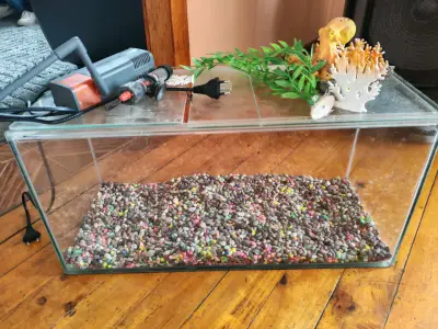 Acuario con accesorios básicos - miniatura 3